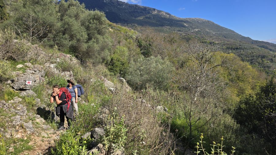 טרק המנליון